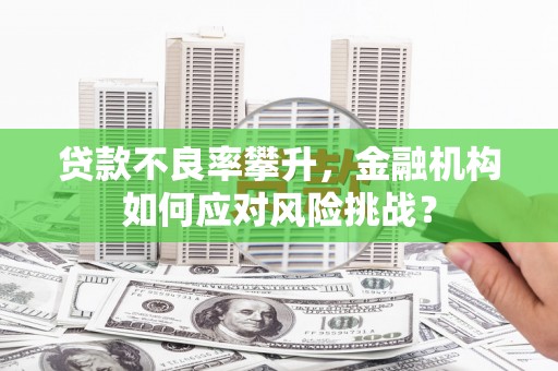 柳城贷款不良率攀升，金融机构如何应对风险挑战？