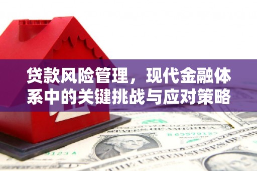 柳城贷款风险管理，现代金融体系中的关键挑战与应对策略