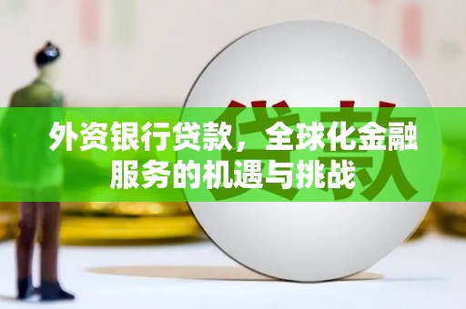 柳城外资银行贷款，全球化金融服务的机遇与挑战
