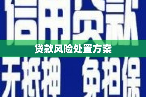 柳城贷款风险处置方案