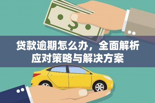 柳城贷款逾期怎么办，全面解析应对策略与解决方案