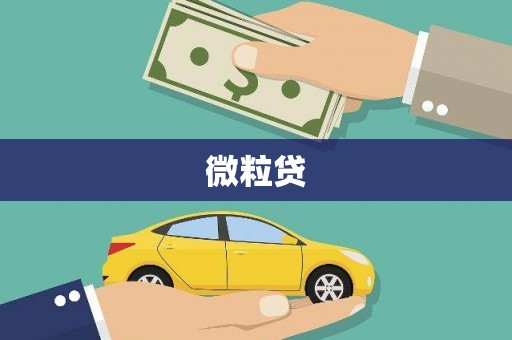 柳城微粒贷