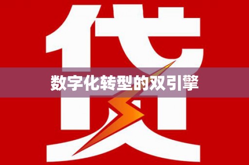 柳城数字化转型的双引擎