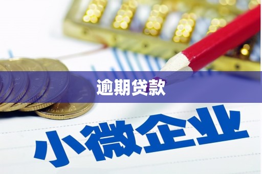 柳城逾期贷款