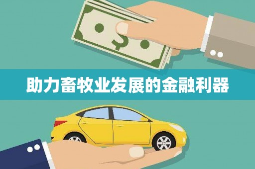 柳城助力畜牧业发展的金融利器